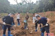 老河口广州已打造首批32处“绿美宗教活动场所”
