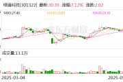 老河口绿通科技拟收购大摩半导体不低于51%股权