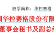 老河口华控赛格董事长、董秘、副总经理三高管同日辞职