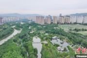 老河口西宁市举办六五环境日主题宣传活动